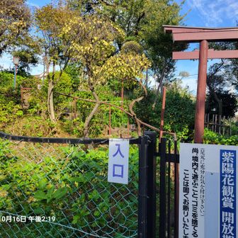こちらも今日は登頂不可