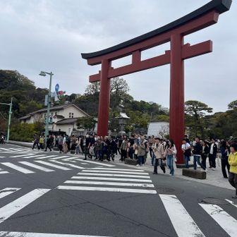 終点の鶴岡八幡宮に着きました。流石にすごい人です。
