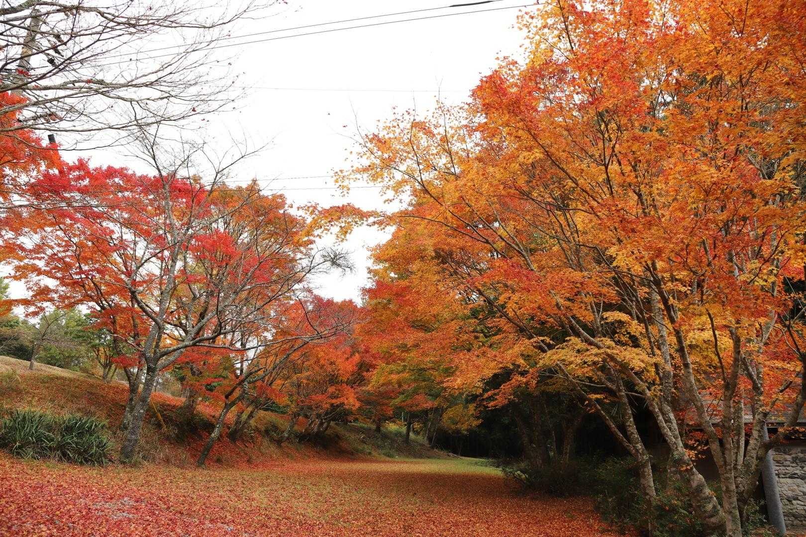 檜原山 往復コースの写真