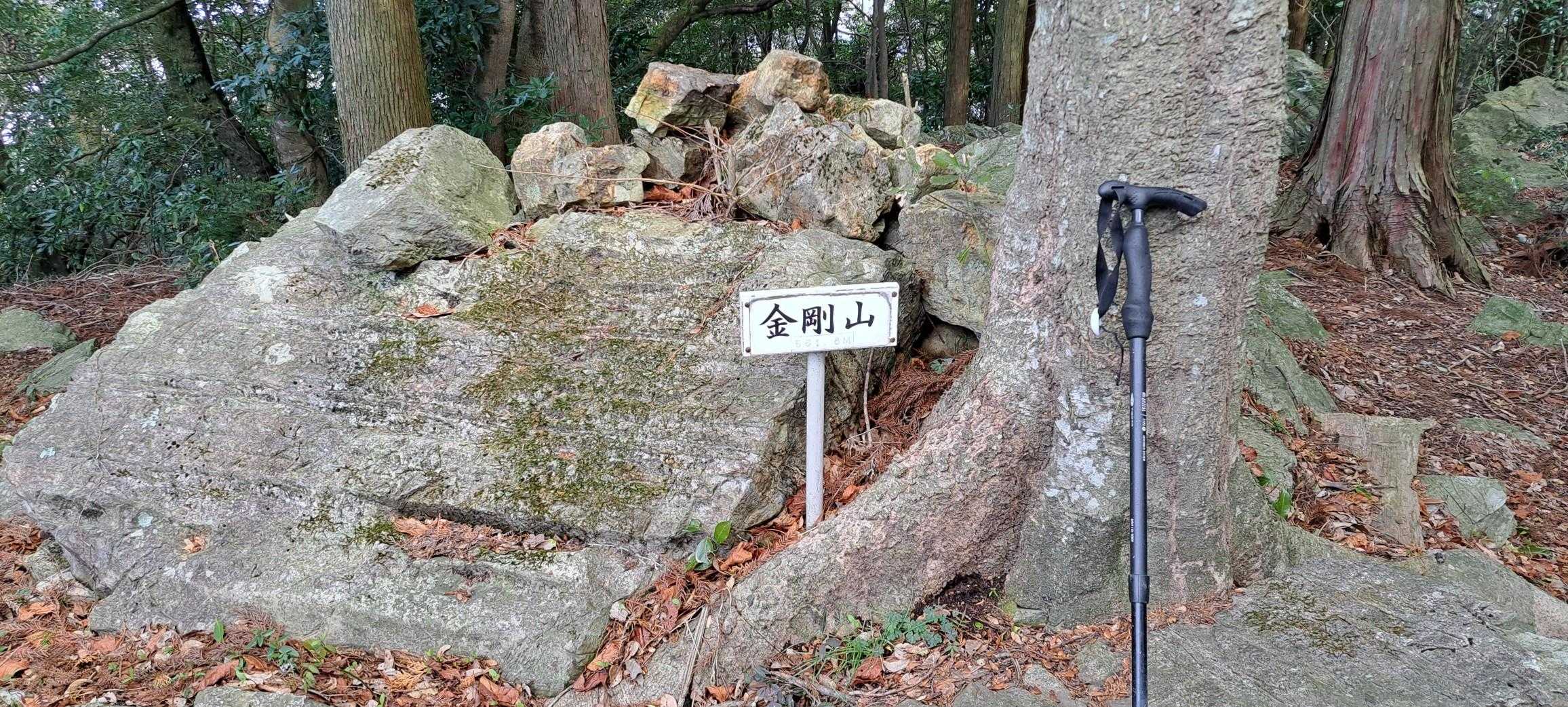 金剛山山頂にトウチャコ❗