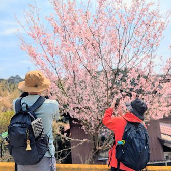 友人2人がほのぼの
