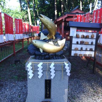 金色のマス