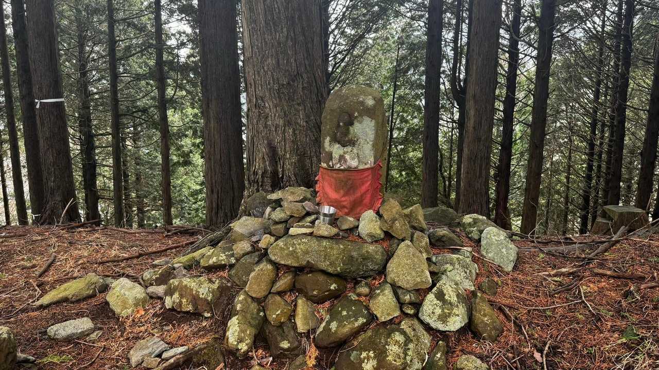 鍋割山・塔ノ岳・烏尾山縦走 の写真 49