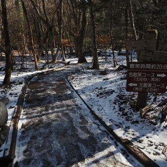 薄く残った雪の上を、歩き始める。