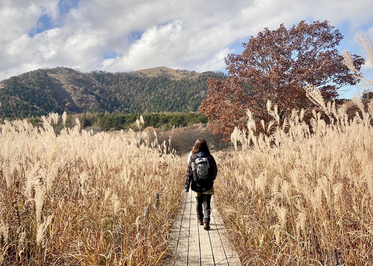 霧ヶ峰（車山）・南の耳・北の耳・大笹峰・男女倉山 / AYAPOさんの霧ヶ峰・車山・大笹峰の活動データ | YAMAP / ヤマップ