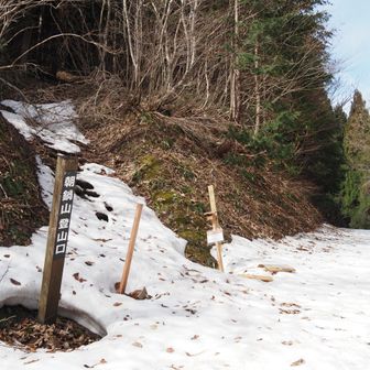 登山口💪😤
此処は雪が残ってますが、林道の半分以上は融けていました。
この後の階段も半分ぐらいまで雪の無い登山道でした。