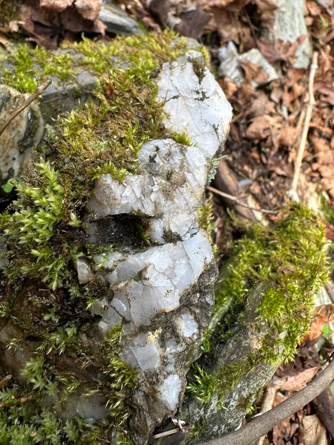 大きな水晶🔮
この山系からはたくさんの鉱石がとれるようです