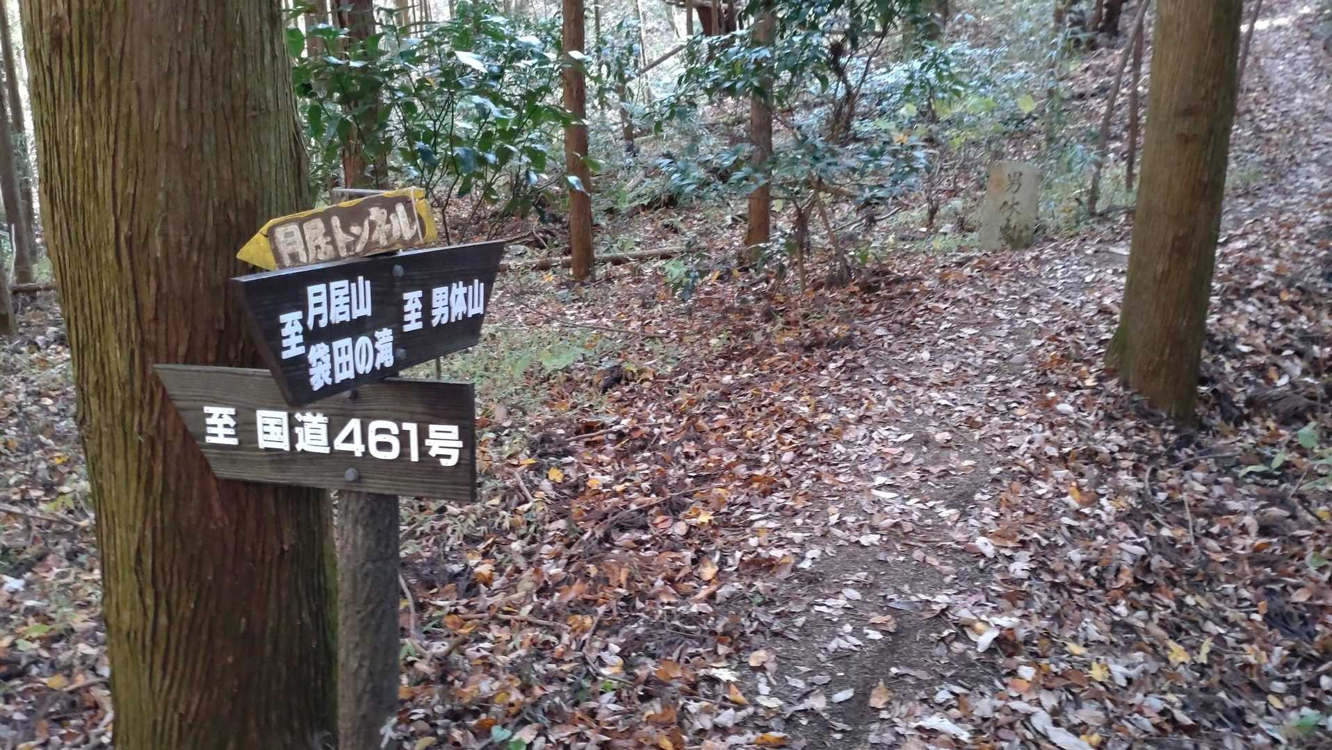 YAMAPにルートはないけれど、ここから月居トンネルに行けそう