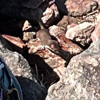 2人でカメラ、カメラと焦り….笑
