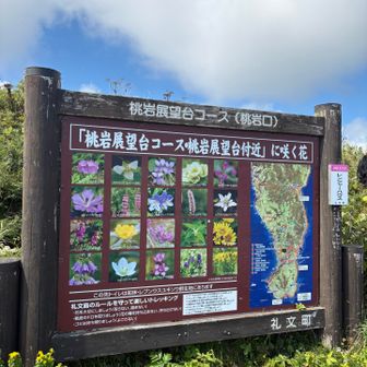 本当に花がいっぱいでした。