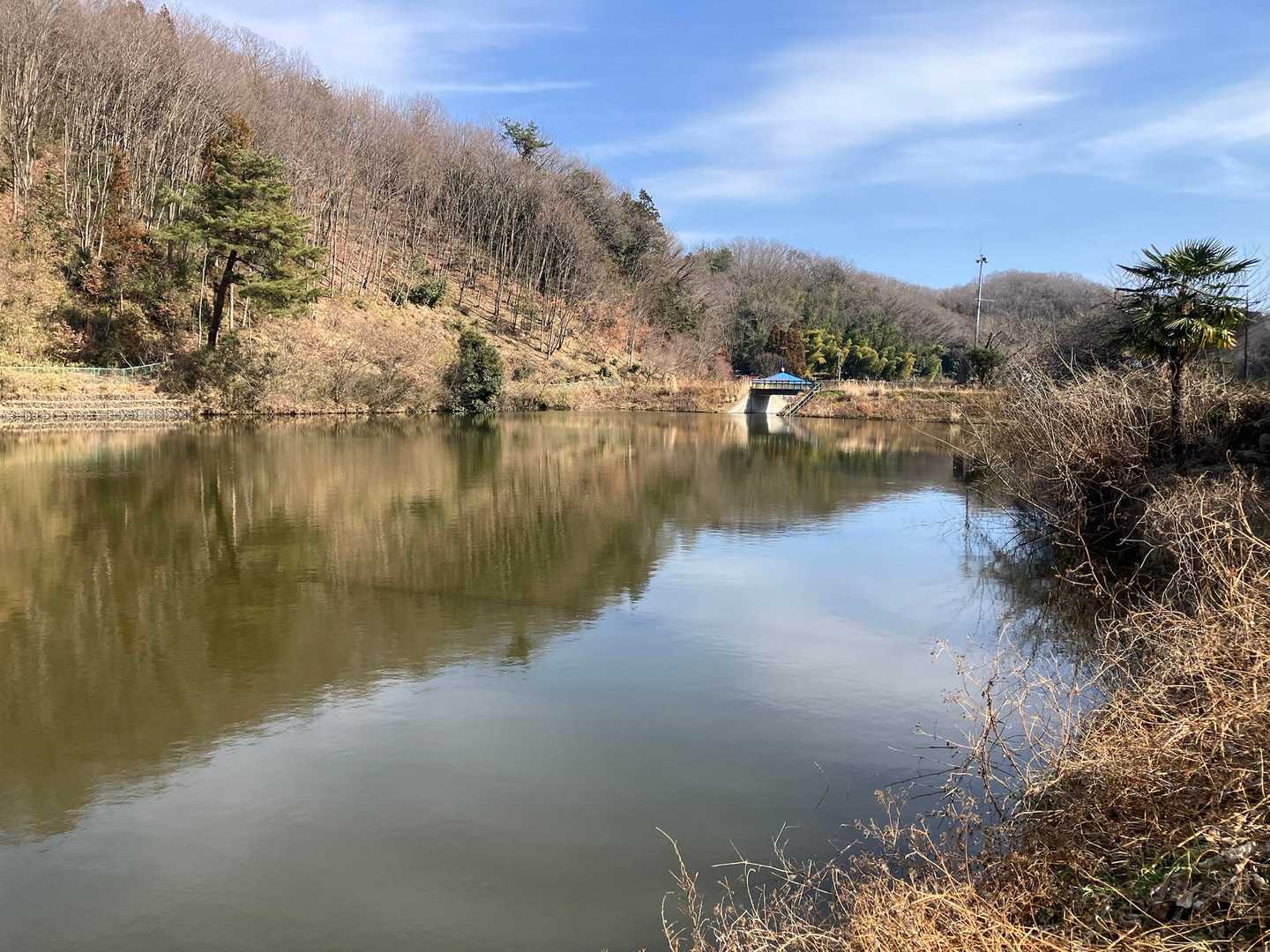 大正池