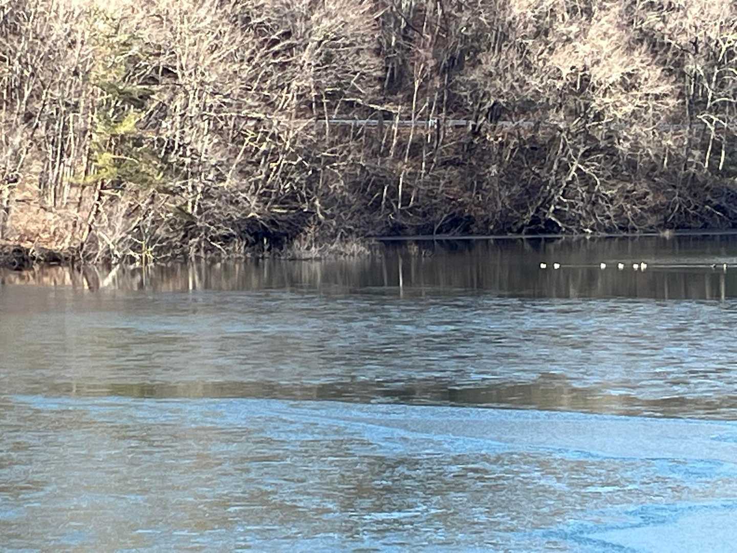 🦆🦆🦆