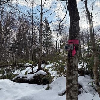 西野上　入口です
入って行かないてもピーク取れますよ😆