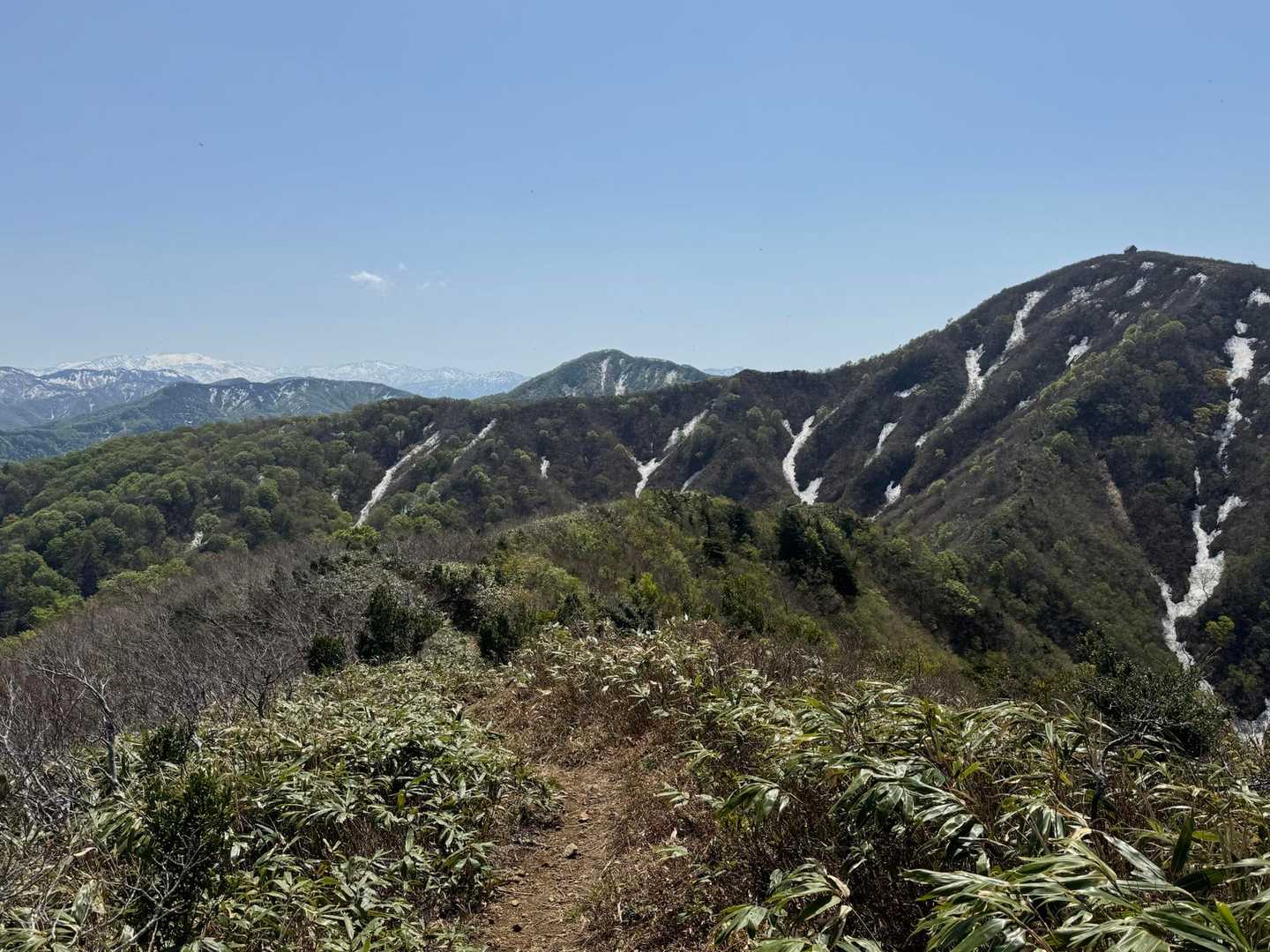 気持ち良い稜線歩き。
丈競山と白山を望みながら。