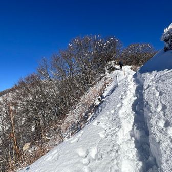 体重で崩れないように🤣
