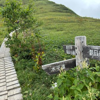 明日はここまで戻ってから歩き出します。今は、朝日小屋へ。