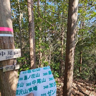 中尾山　　（飯百　101座目/112）

疲れも出てきてるので、めっちゃキツかった〜🫠