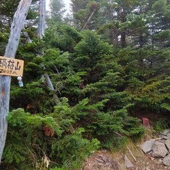 縞枯山