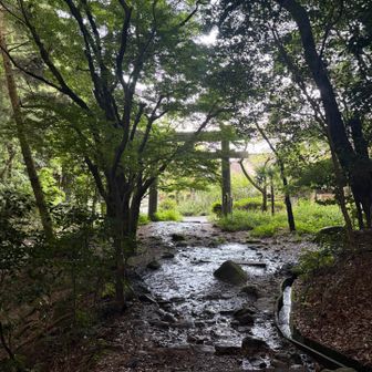 下界はすでに暑い。