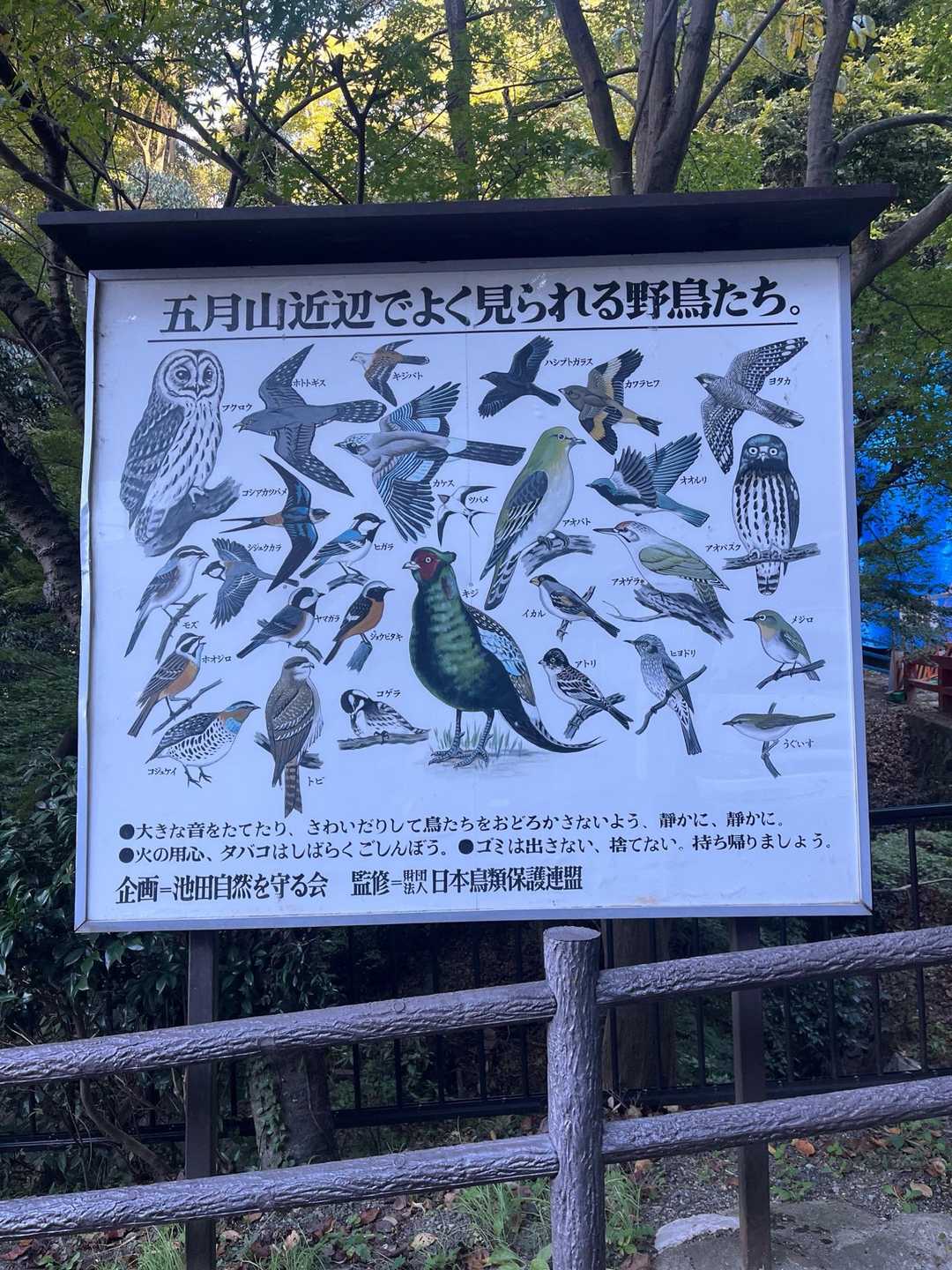 五月山から入っていきます♪