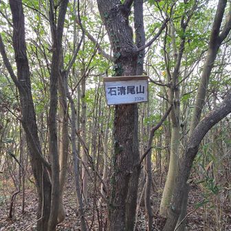 石清尾山～⛰️