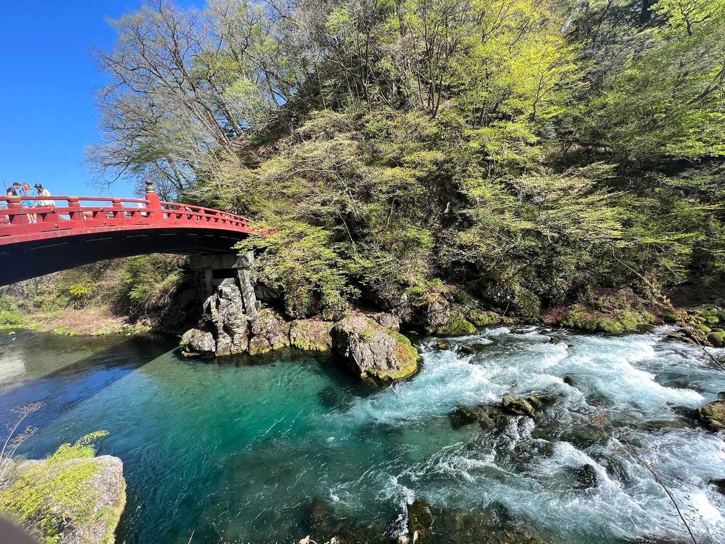 日光二荒山神社の神橋  
新緑に映えて

いつも車で素通りなので
なかなか歩く機会がない場所
