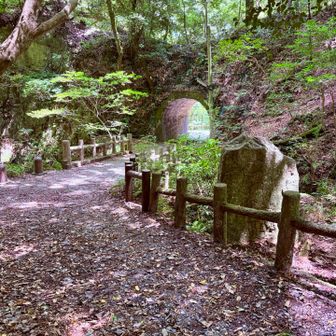 行きの遊歩道の途中の 左手の トンネル