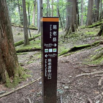 飛ばすぞー