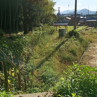 権現山公園まで戻って来たのでここで記録はおしまい
ほんなら９時を待って大福堂と鹿生堂に行きまぁ〜す🌰‼️