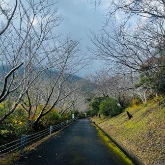 懐かしい！うる覚えを感じながらスタート🎒
少し、腰に違和感あるので、今回はスローペースで行くよ🤣腰を寝違えたみたいな？？？