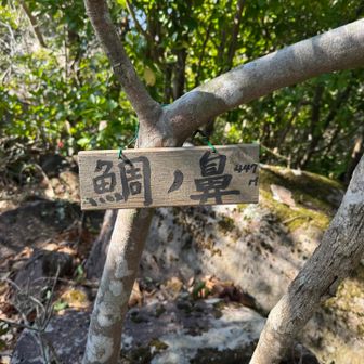 このプレートも蒲鉾板⁇