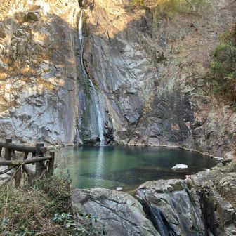 今日は細いな。