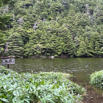 ほとりは水浸しで、看板のところまで行けません💦