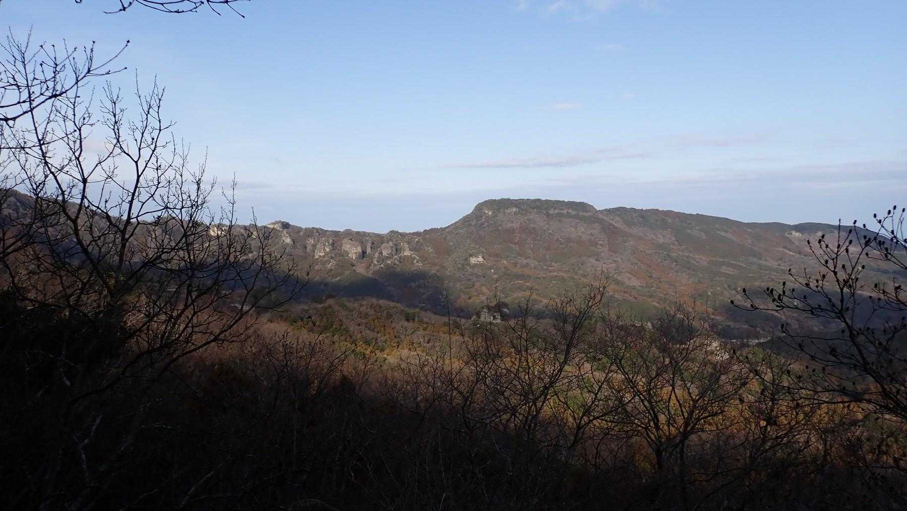 新大分百山に漏れてしまった鷲巣岳。