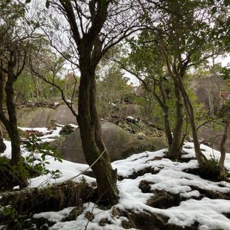 大岩直下は、
険しく雪もつきだした❄️