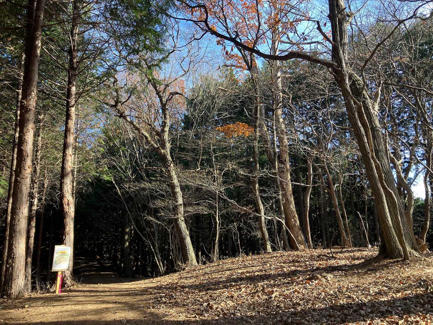 とりあえず日が差して安心😮‍💨