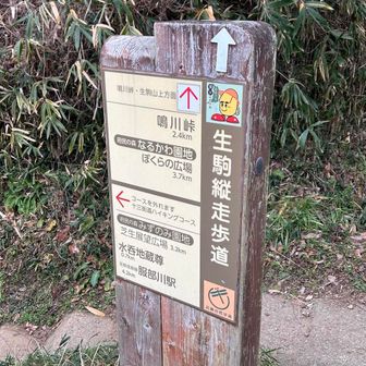 道もわかりやすい！ロードを歩かずに済むように、ロードの横道をつけてくれてるのが助かる。
アップダウンはかなりあるけどっ笑