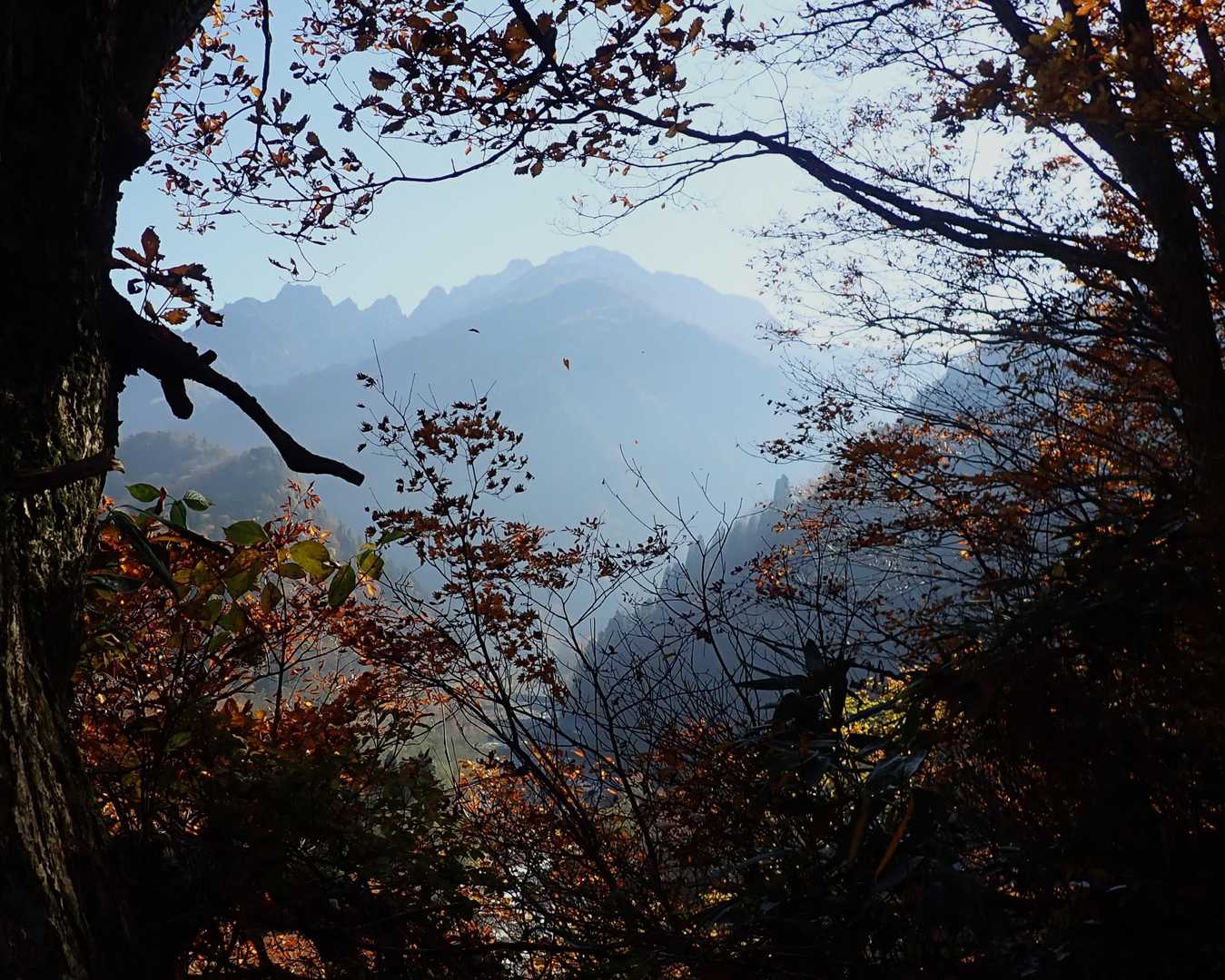森が明るくなり、あちこちから剱岳が現れます😉