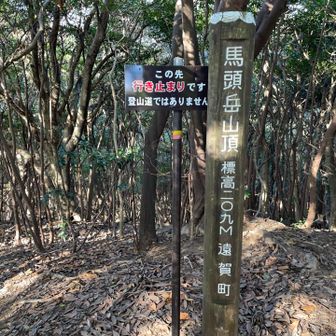 馬頭岳山頂209ｍ