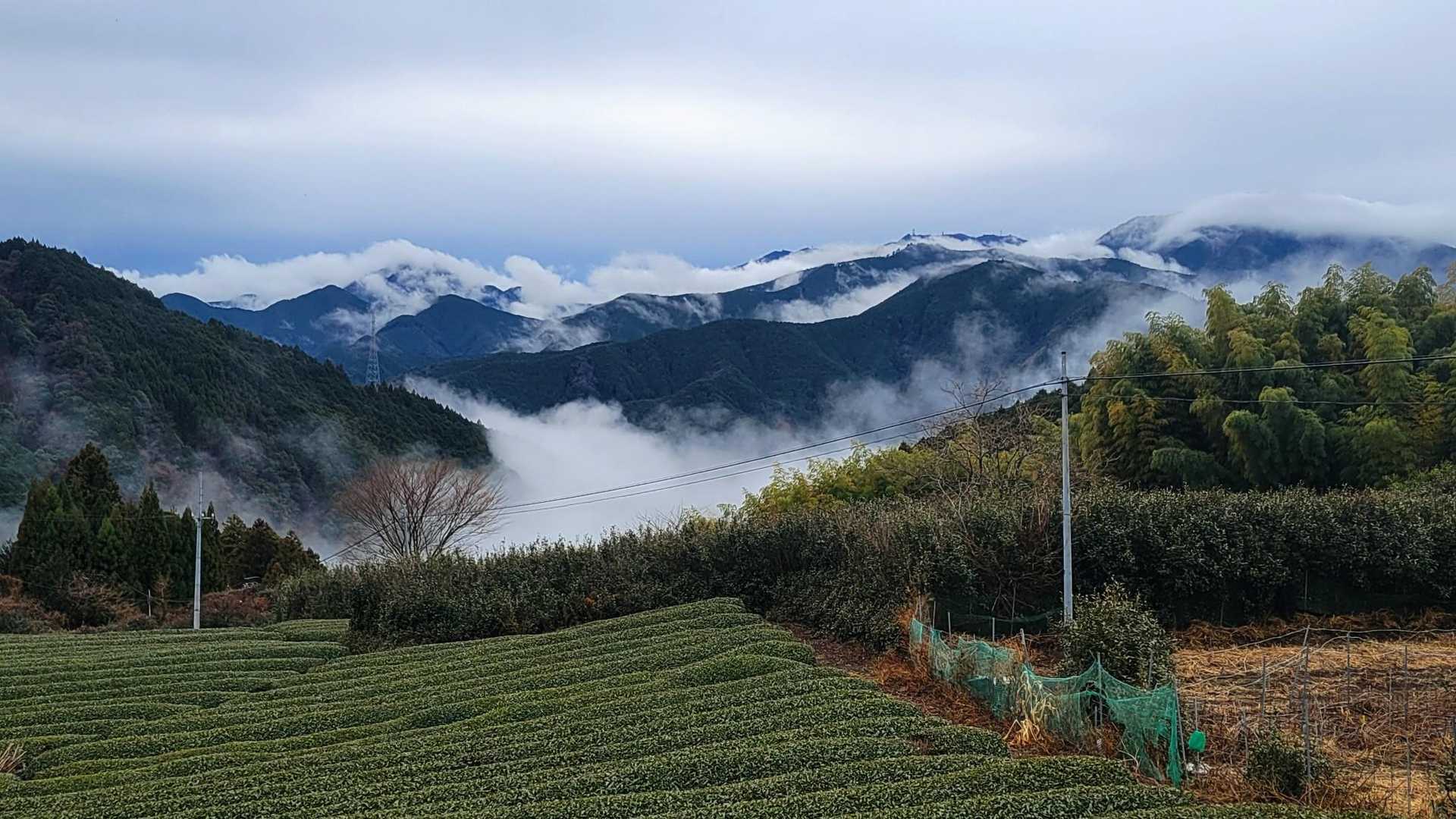 集合時間に無事に合流でき、茶畑に囲まれた細道を登り🅿️へ。
 🅿️到着時、先客は無し。
まぁ、この天気ならねぇ…
けど正直5、6台は停まってると思っていた😅
出発準備をしていると、お客さんが1台🚙 こんな日にココにいるって事は、きっと好きなんだろなぁ⛰️