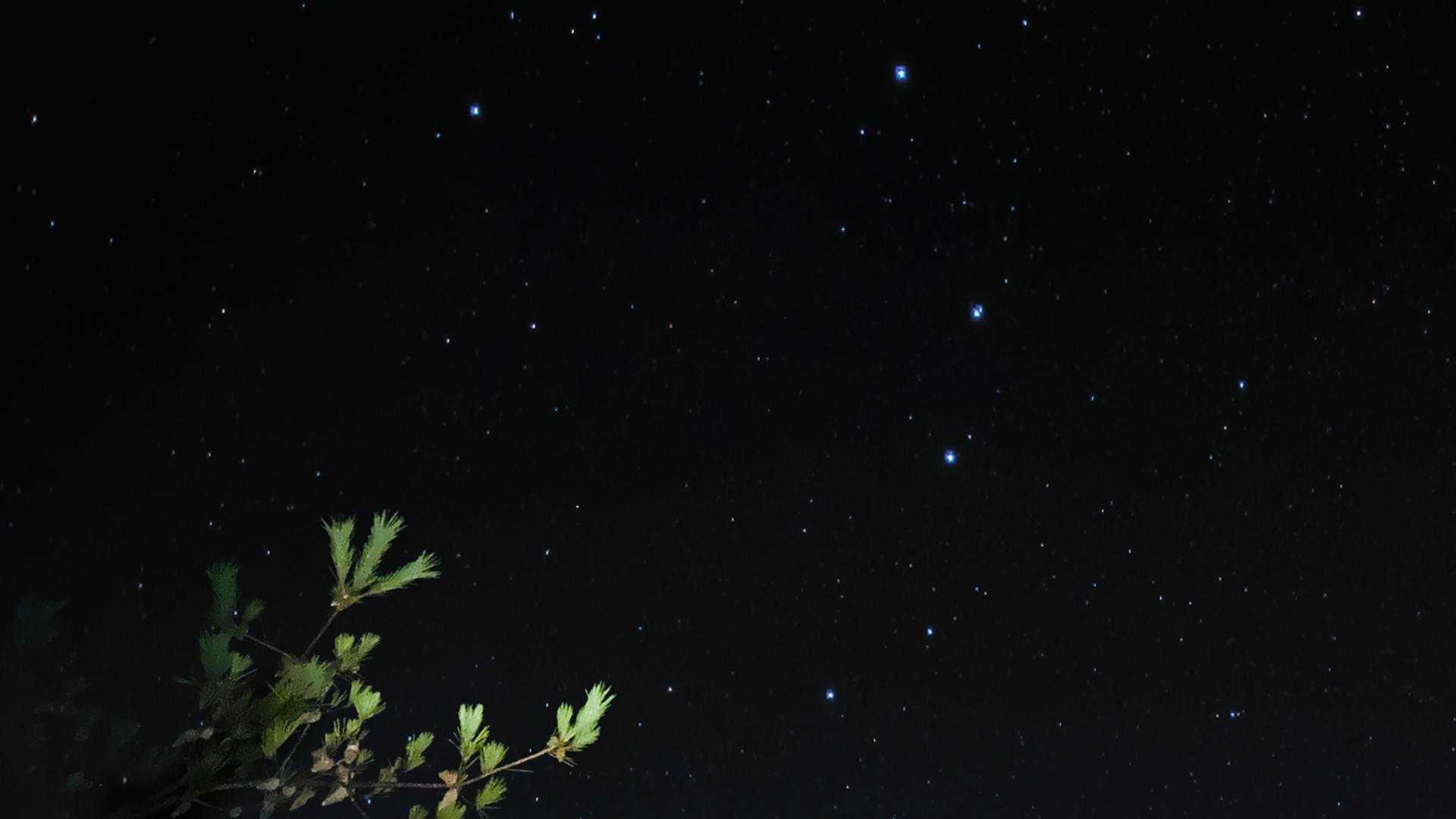 


満月で星は少ないけど、俺の住む街より断然いっぱい✨


