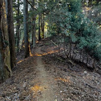 神社までの舗装路もあれば土の歩きやすい道もあります