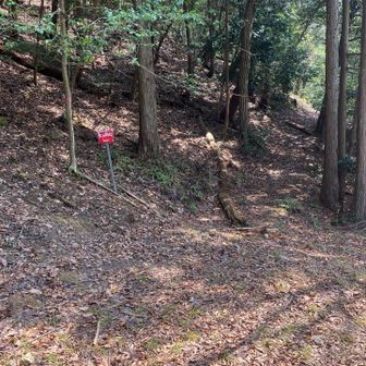 そして、右手に登山道が二つ？
マップをよく確認して、火の用心の標識のところからのこれ道？という急坂を進みます。