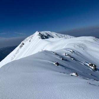 また奥聖岳から…
暫く誰も来てない感が。