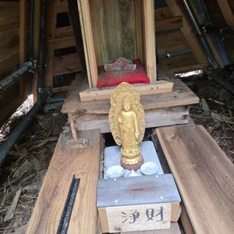 お賽銭を入れ家族みんなの健康を祈願🙏　医王山だもんね💊