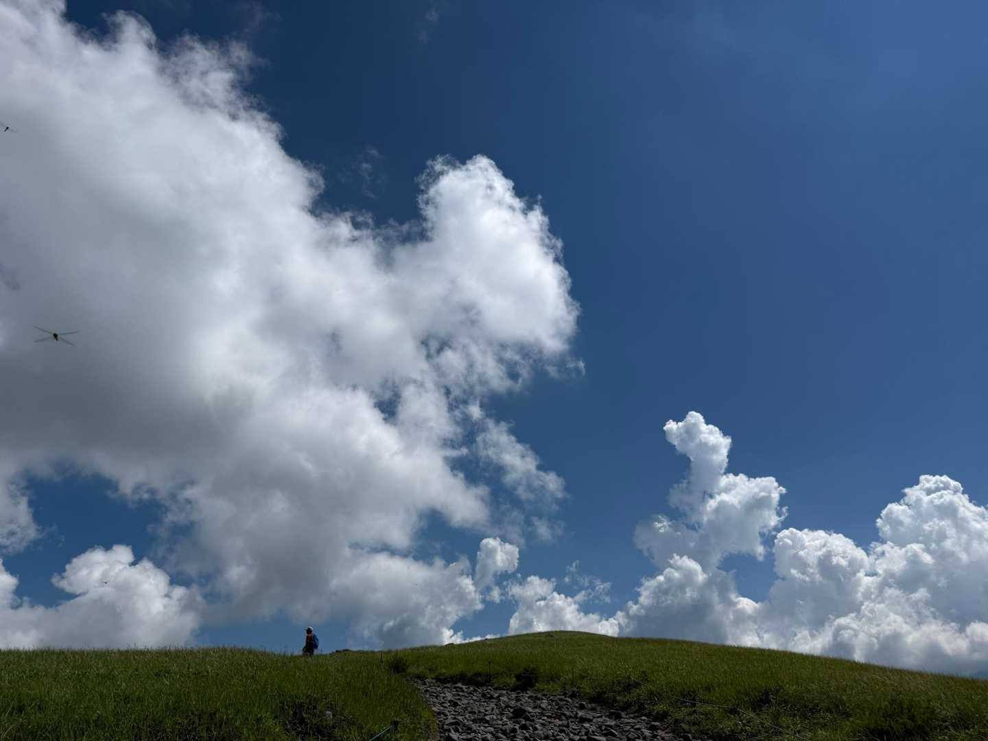 車山肩バス停-霧ヶ峰-南の耳-北の耳-男女倉山-八島ヶ原湿原 周回コースの写真