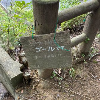 いざ！ゆぴか♨️♨️