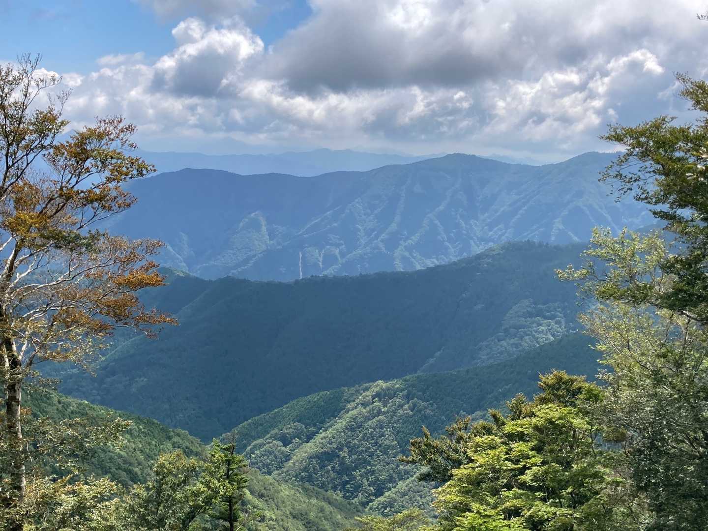 紅葉🍁ん時にまた来たい