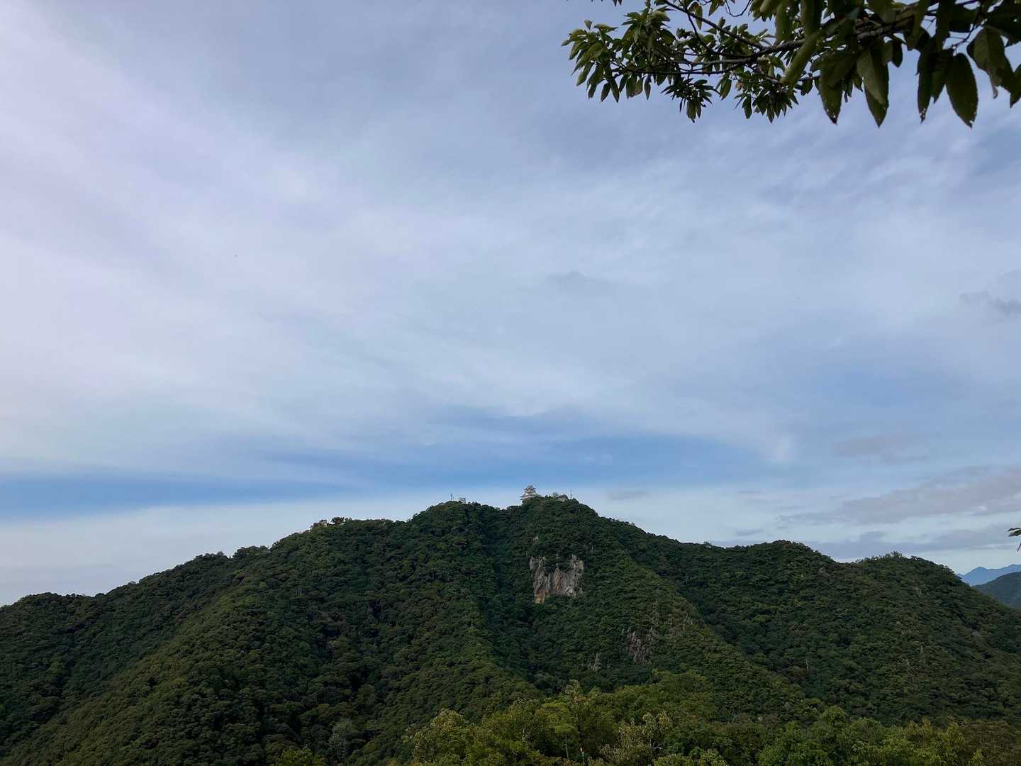 金華山と岐阜城