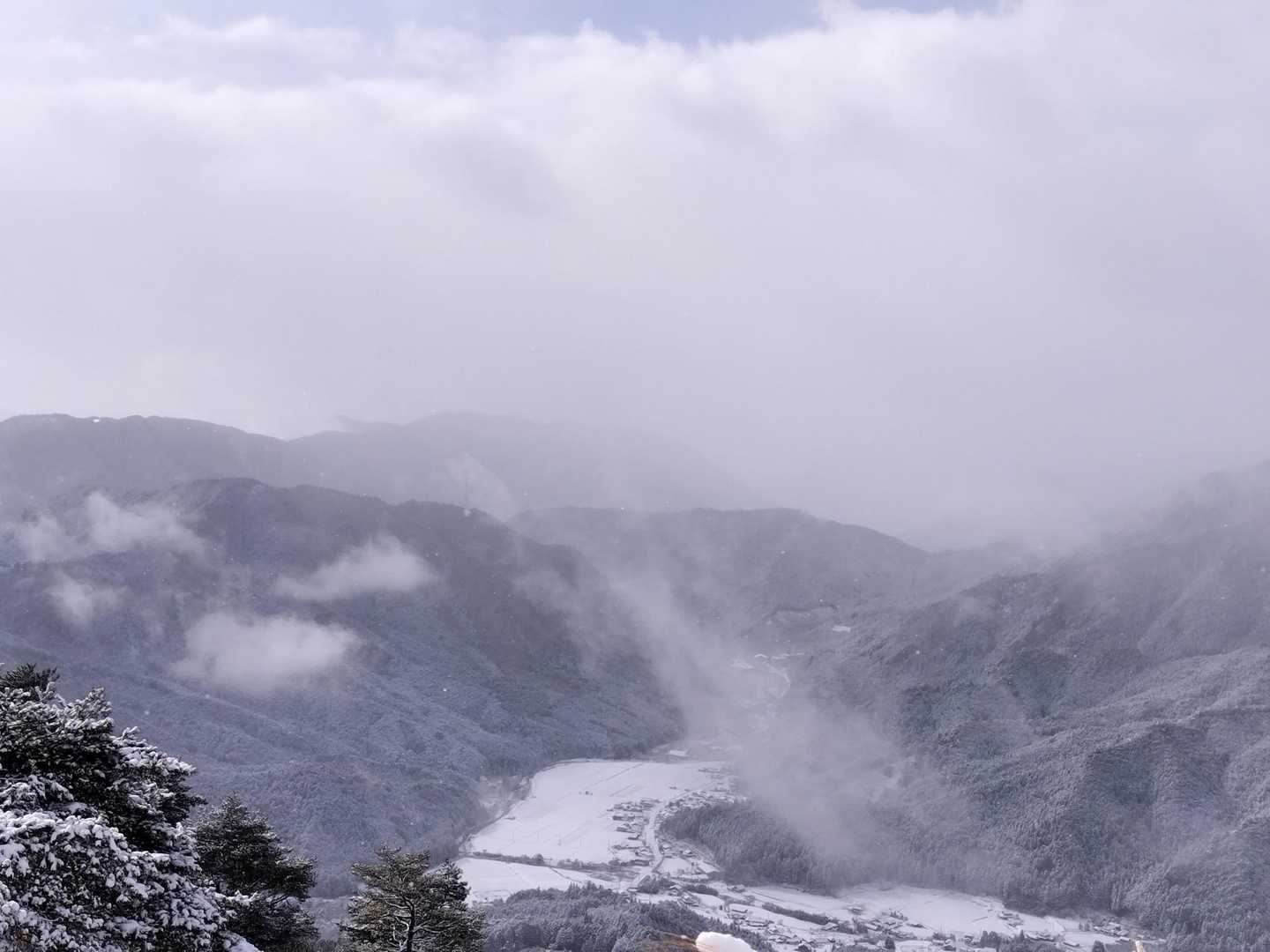 生野高原登山口-達磨ヶ峰-フトウガ峰 往復コースの写真